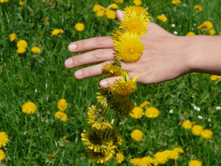 How to Detox Safely and Effectively