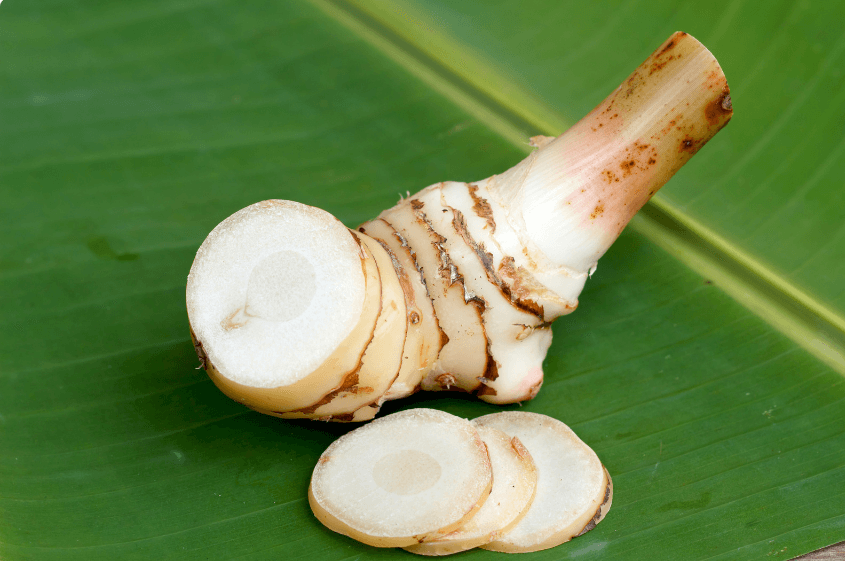 Chinese galanga