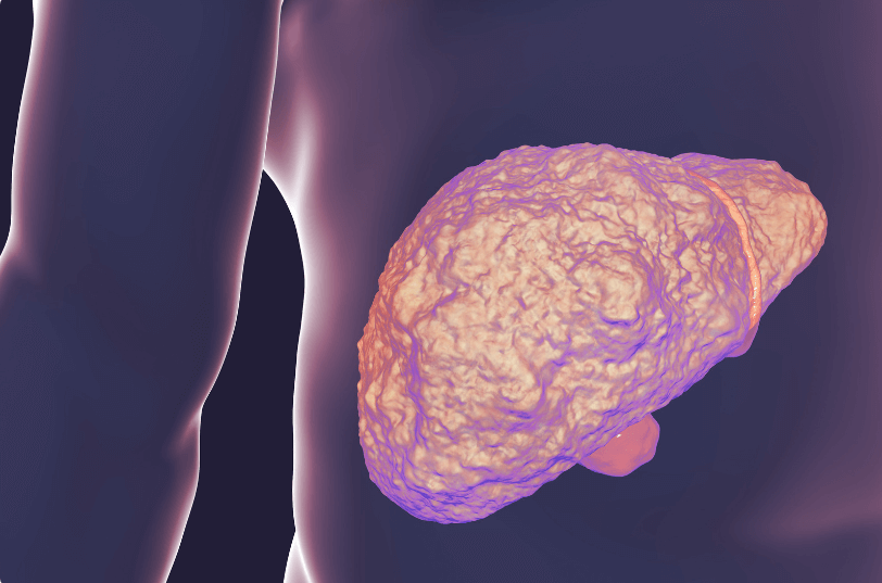 Top 10 Foods for a Healthy Liver