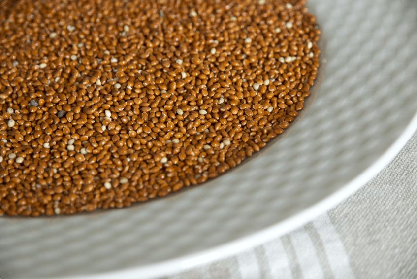 Wild millet