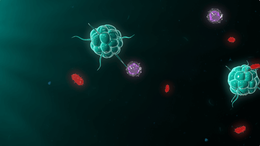 Please keep this guide to boosting your immunity
