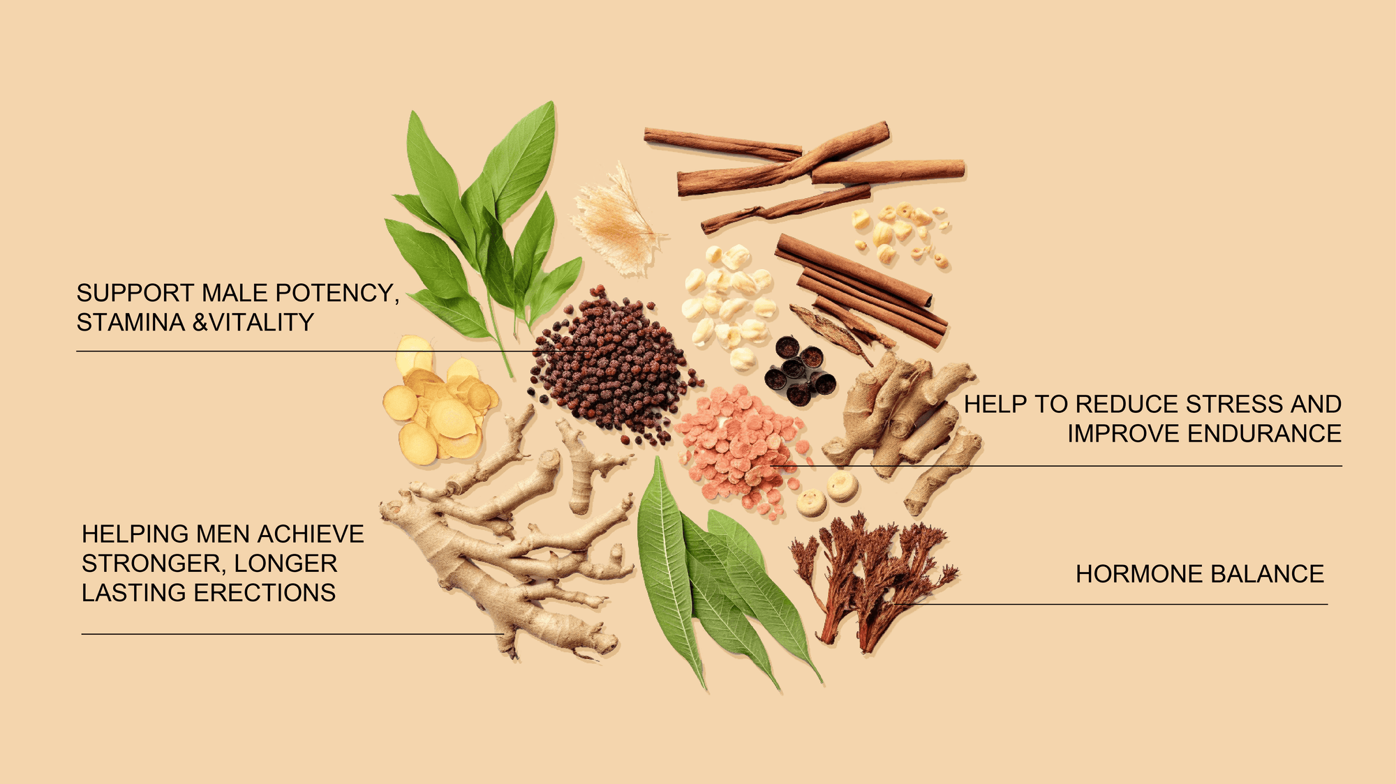 Manhood Herb Tea Support Male Potency Stamina &Vitality HealthKing